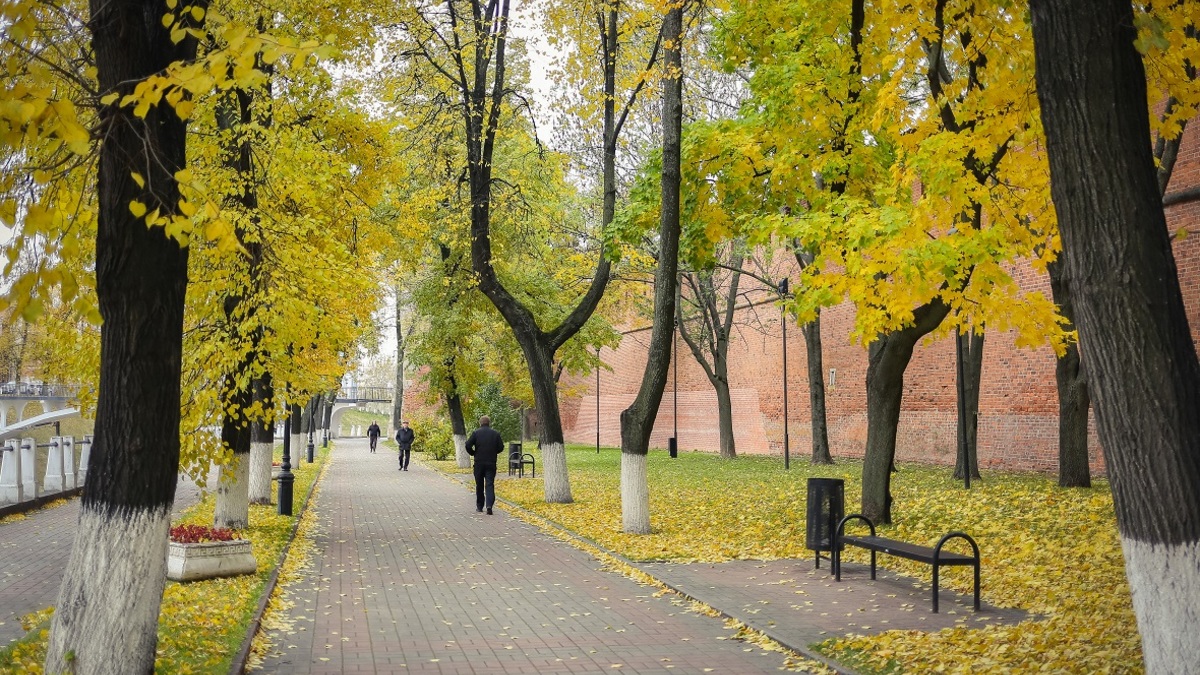 Фото: Михаил Солунин/РБК