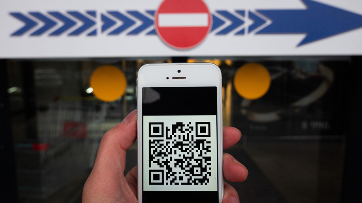 На внутренних авиалиниях Хабаровского края с 1 декабря введут QR-коды — РБК