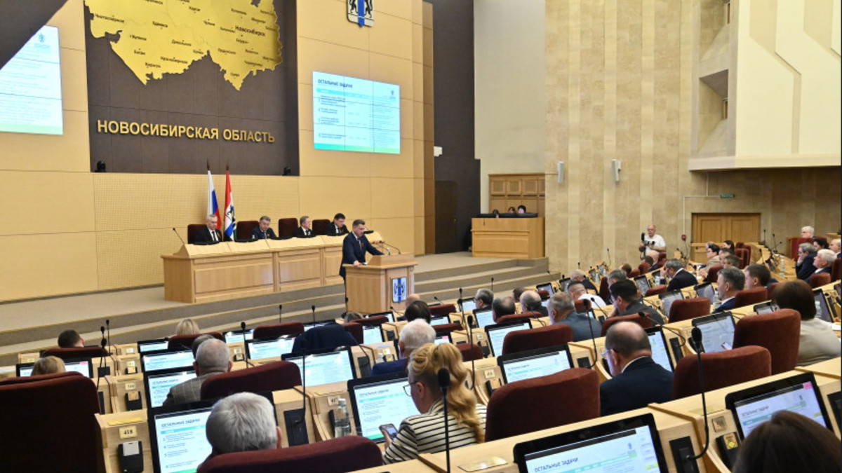 Фото: пресс-служба правительства Новосибирской области