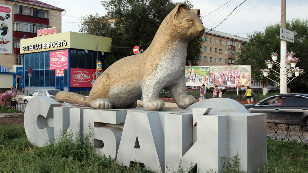 В Уфе назвали самые успешные в работе с общественными инициативами города —  РБК