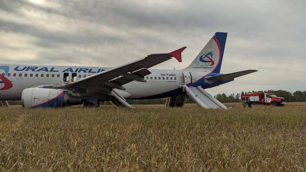 Самолет «Уральских авиалиний» сел в поле в Новосибирской области — РБК