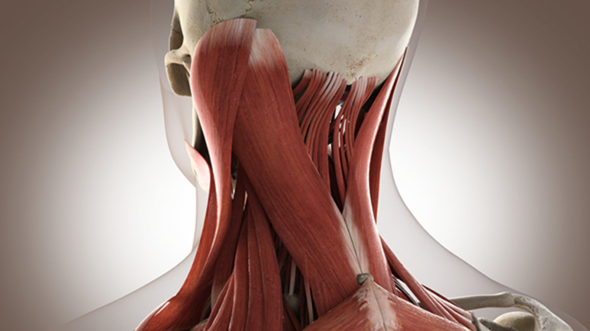 Фото: depositphotos.com