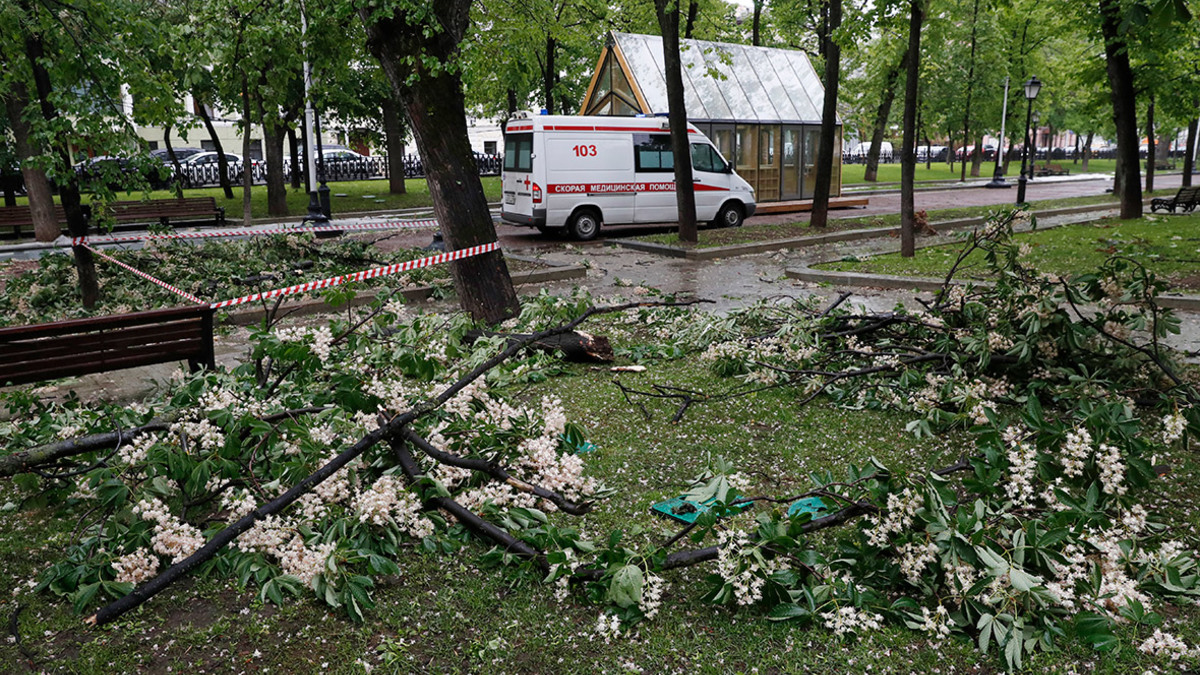 В Подмосковье при ударе молнии погиб человек — РБК