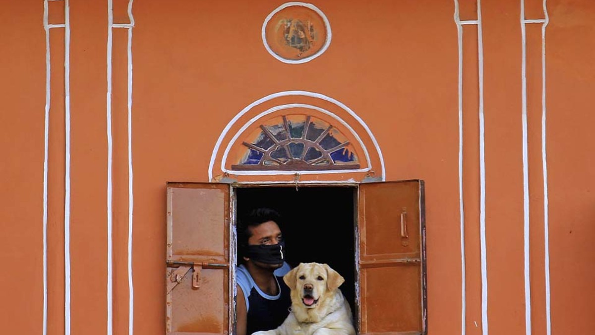Фото: Vishal Bhatnagar/NurPhoto via Getty Images