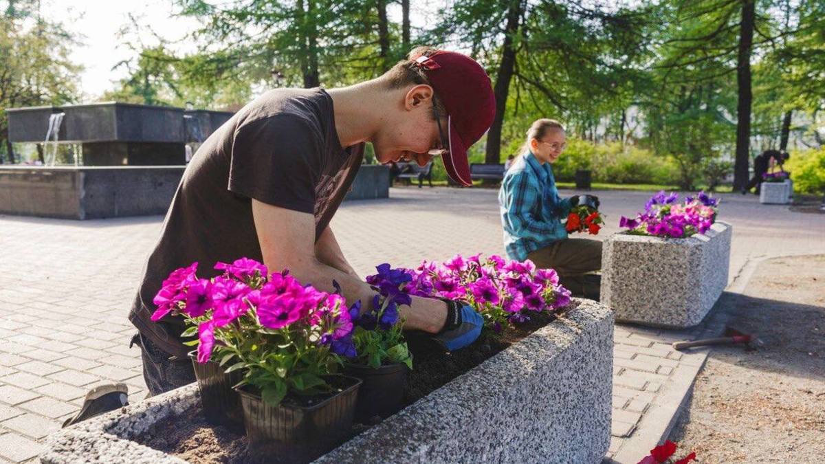 Оленегорск и Мончегорск стали лидерами по временному трудоустройству — РБК