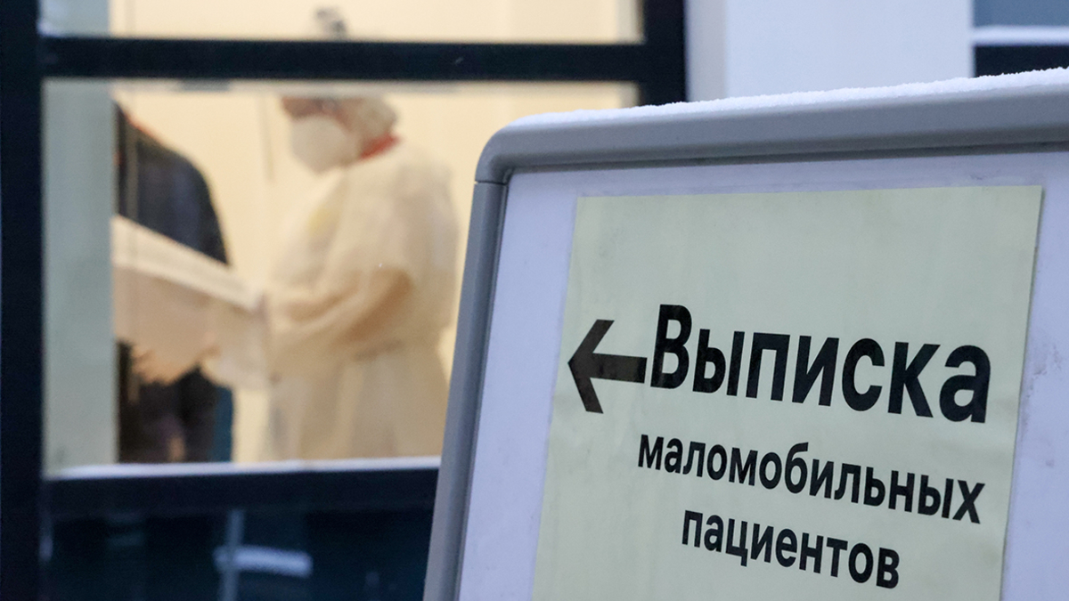 Фото: Владимир Гердо / ТАСС