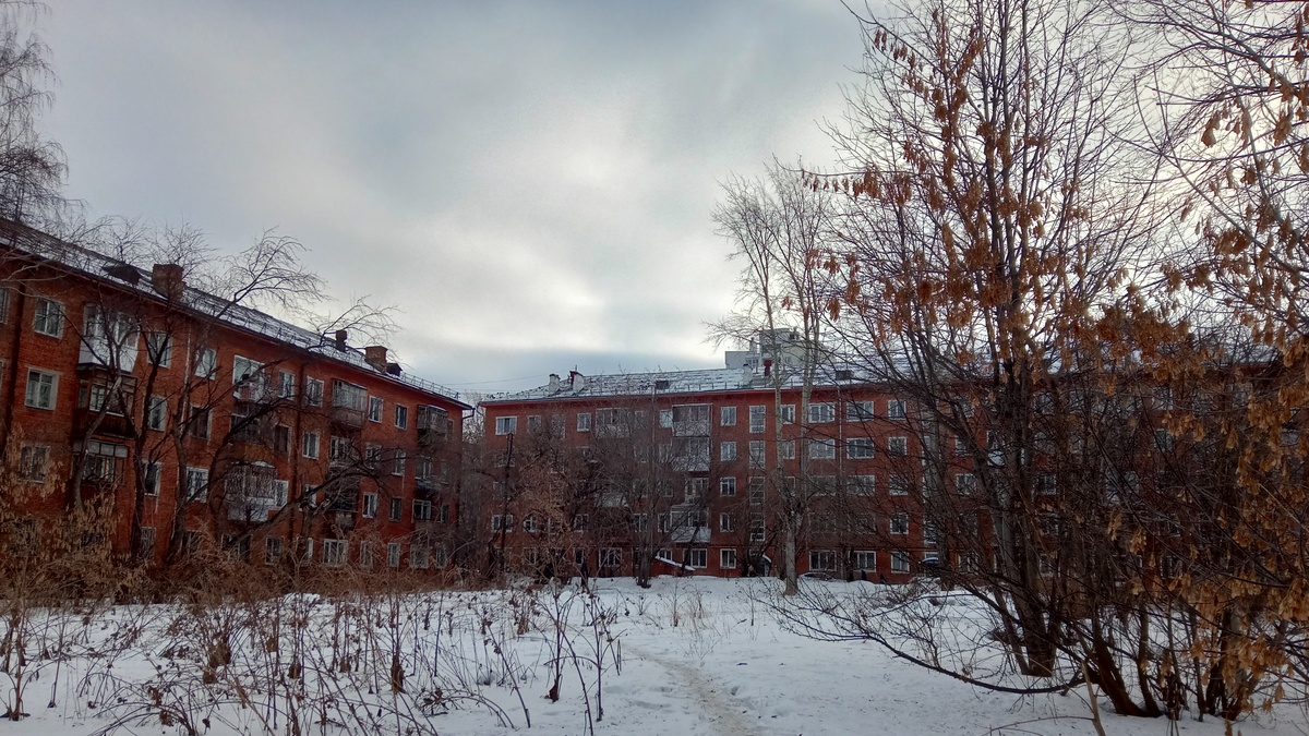 Фото: 66.RU