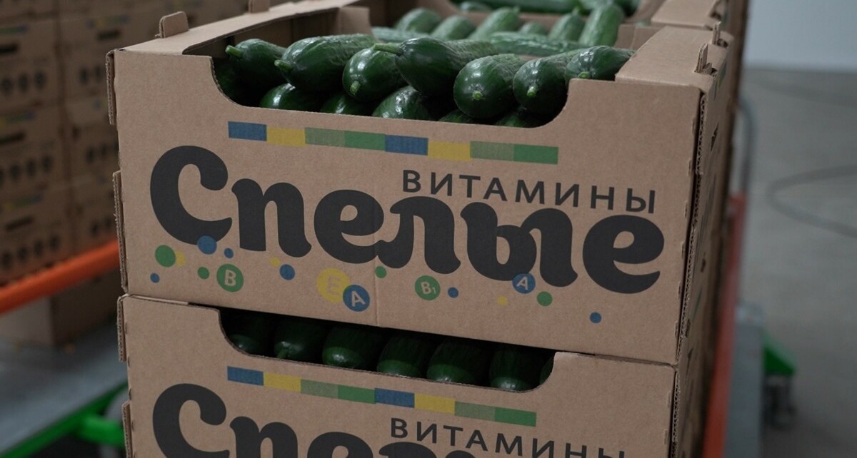 Фото: Правительство Камчатского края