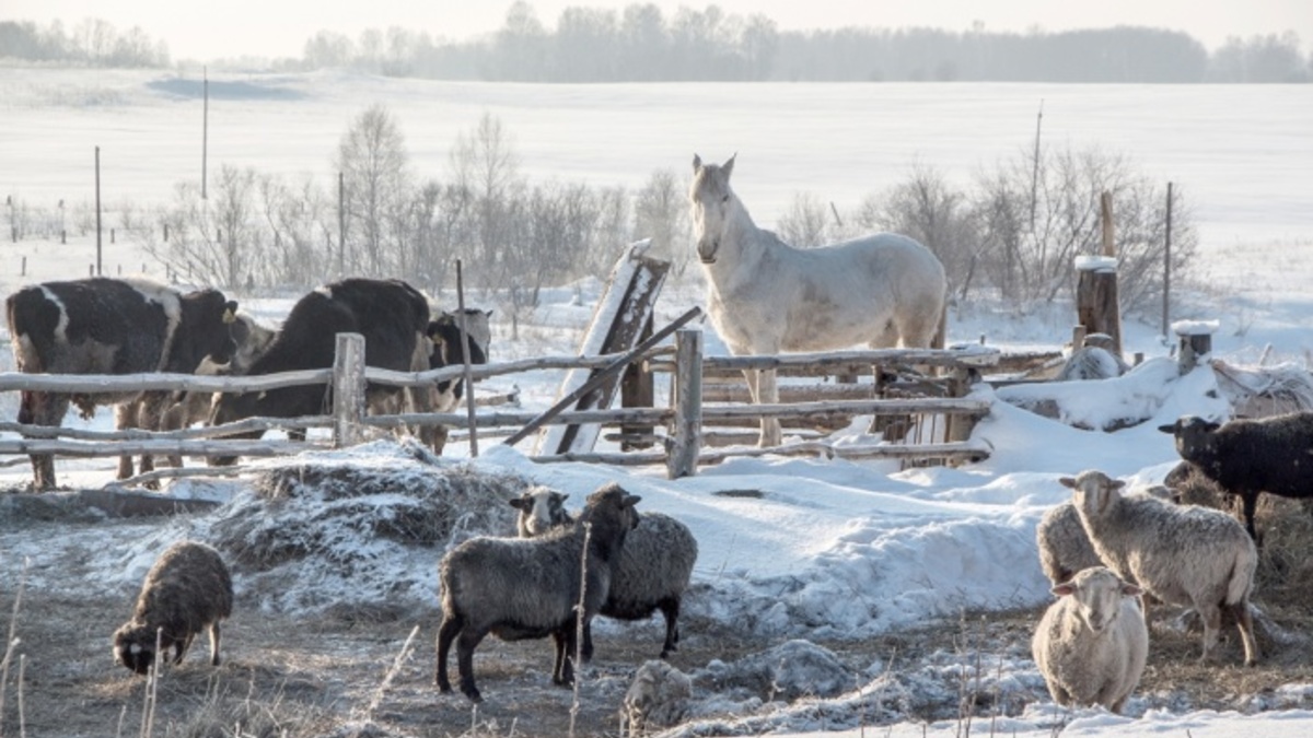 Фото: infourok.ru