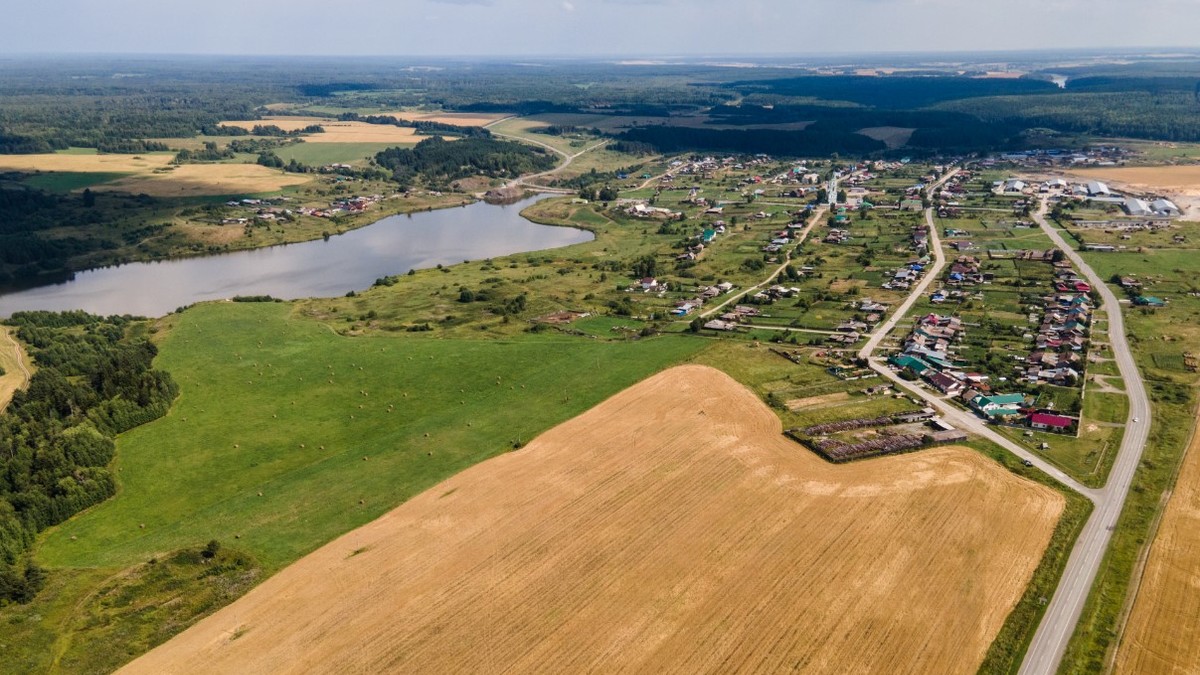 В 2023 году продолжится выдача земельных участков в аренду за 1 рубль