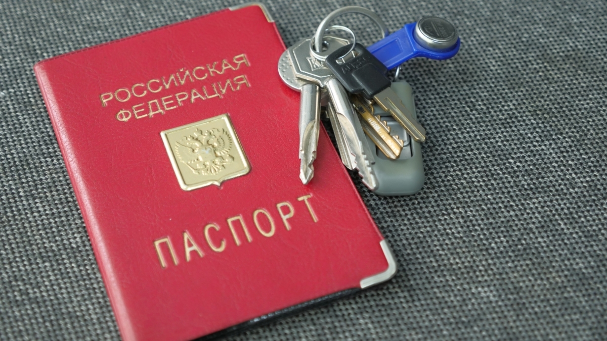 Фото: РБК Черноземье