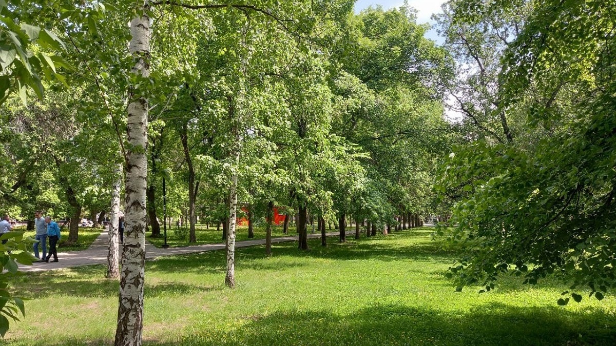 Фото: РБК Новосибирск
