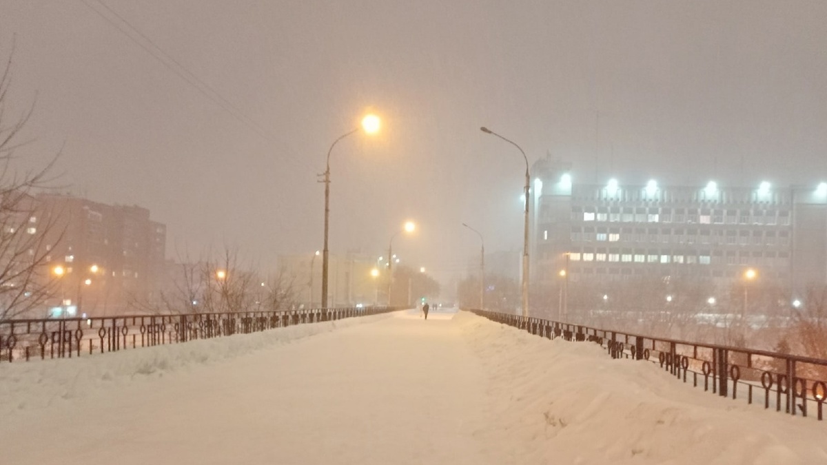 Фото: Алексей Коваленок / РБК Новосибирск