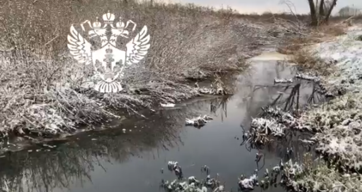 Фото: скриншот видео Росприроднадзора