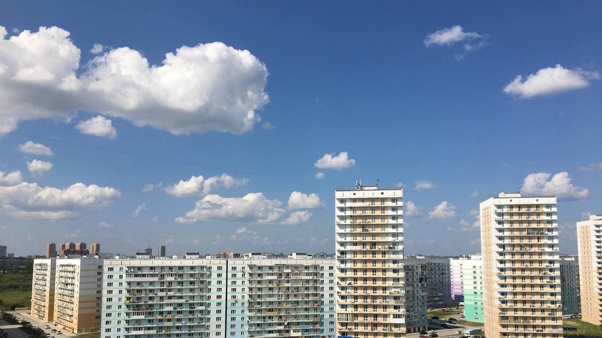 Фото: Михаил Шестаков / РБК Новосибирск
