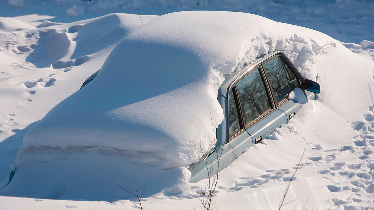 Подснежники» выехали на дороги. Как избежать ДТП с такими водителями ::  Autonews