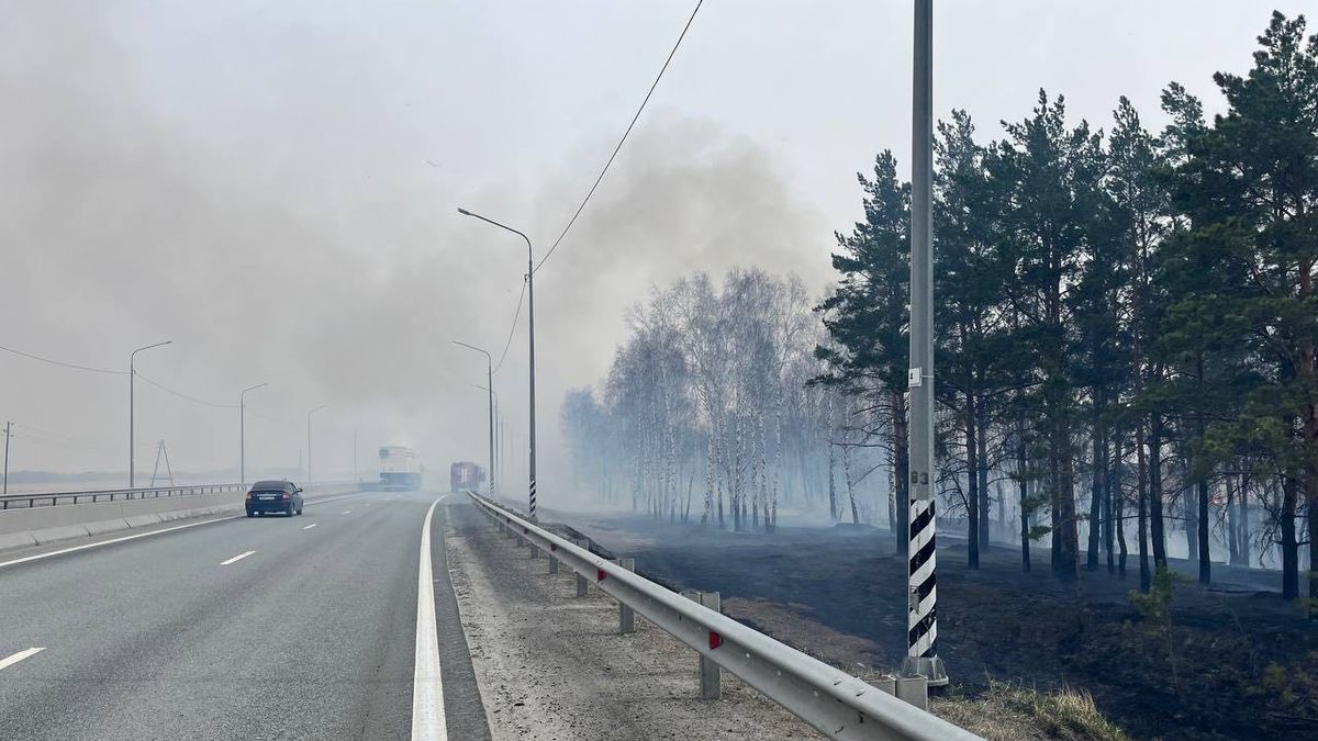 Фото: ГИБДД Тюменской области