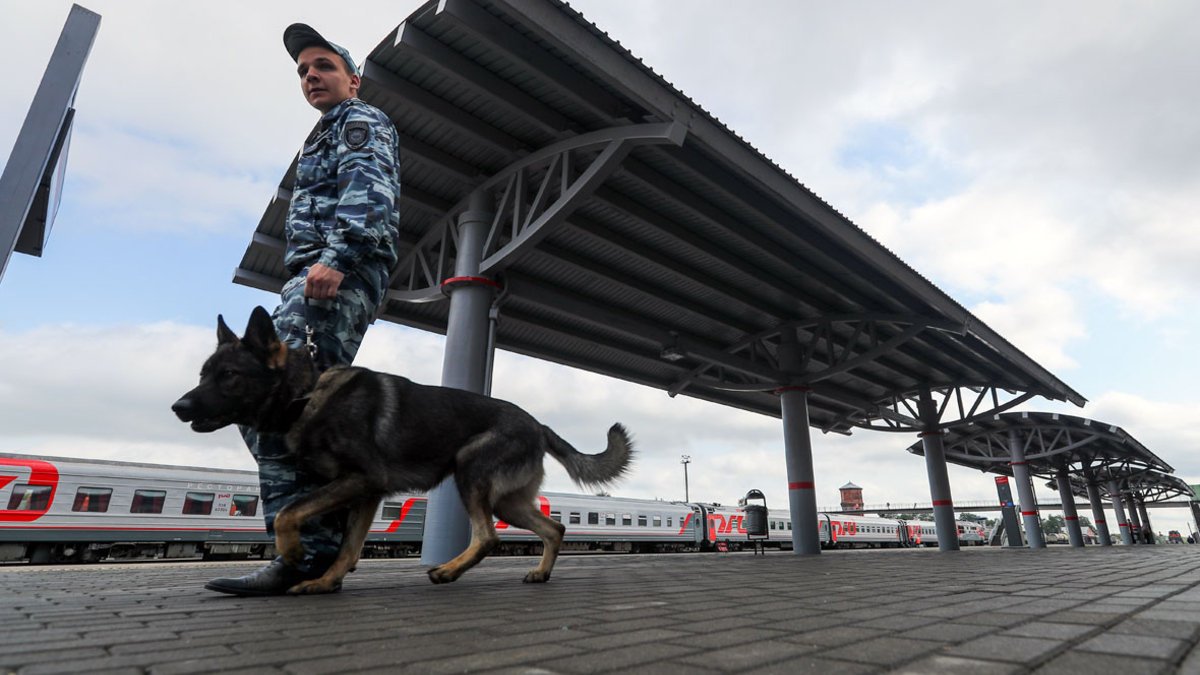 Схема метро москва 2020 с вокзалами и аэропортами на русском ...