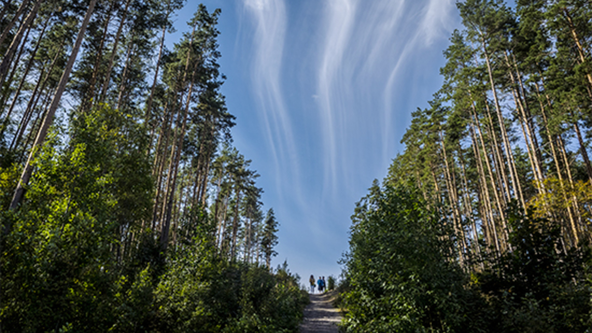 Фото: Руслан Шамуков/ТАСС