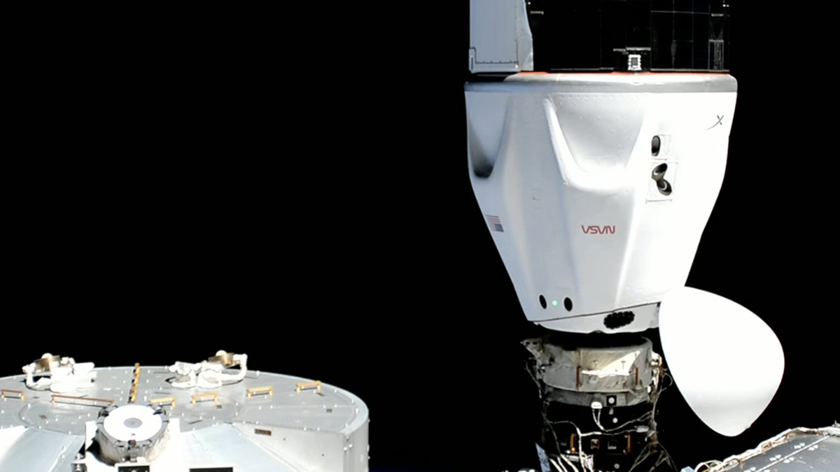 Фото: @SpaceX / Twitter