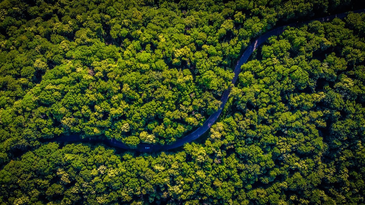 Фото: Unsplash