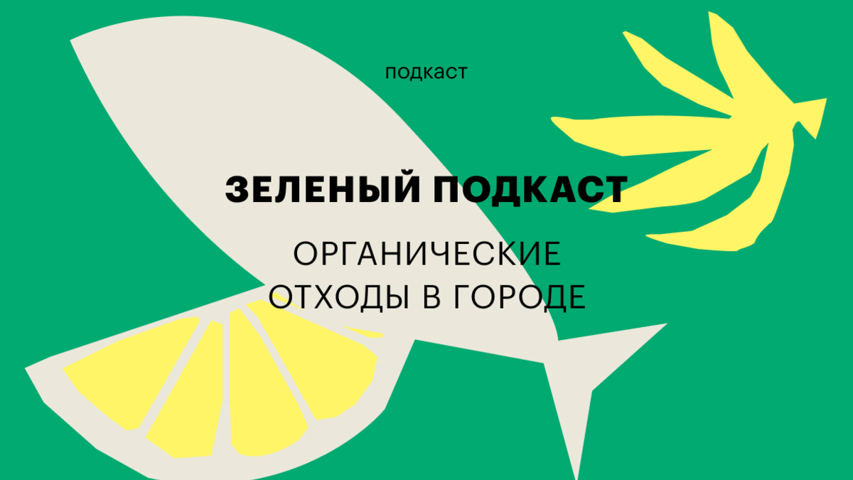 Как утилизировать органические отходы: «Зеленый подкаст» РБК тренды | РБК  Тренды