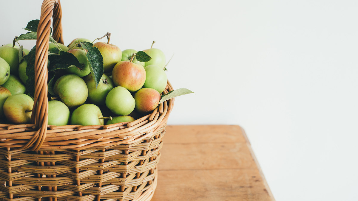 Фото: annie spratt/unsplash