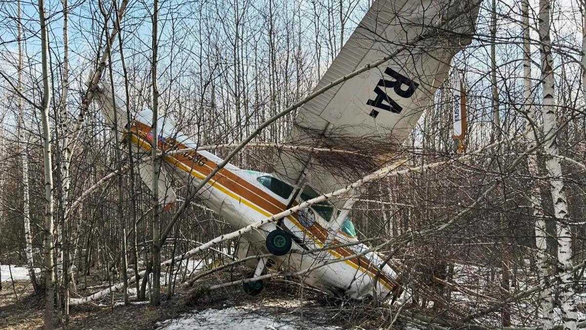 Частный легкомоторный самолет упал в Новосибирске — РБК