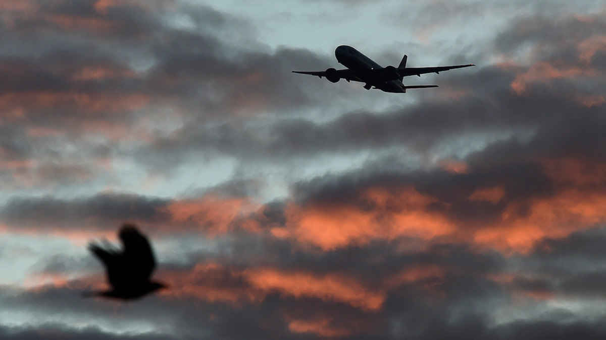 Фото: Toby Melville / Reuters