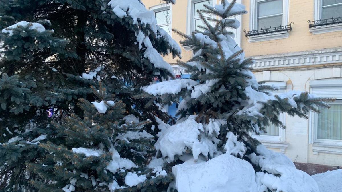 Фото: РБК Приморье