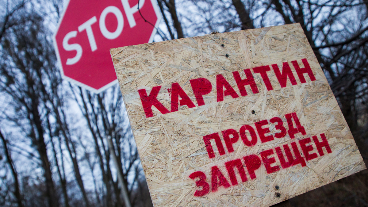 Фото: Александр Подгорчук