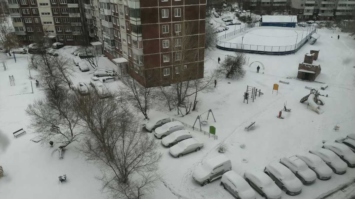 Фото: РБК Новосибирск