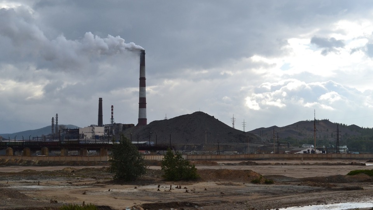 Фото: Олег Каменский