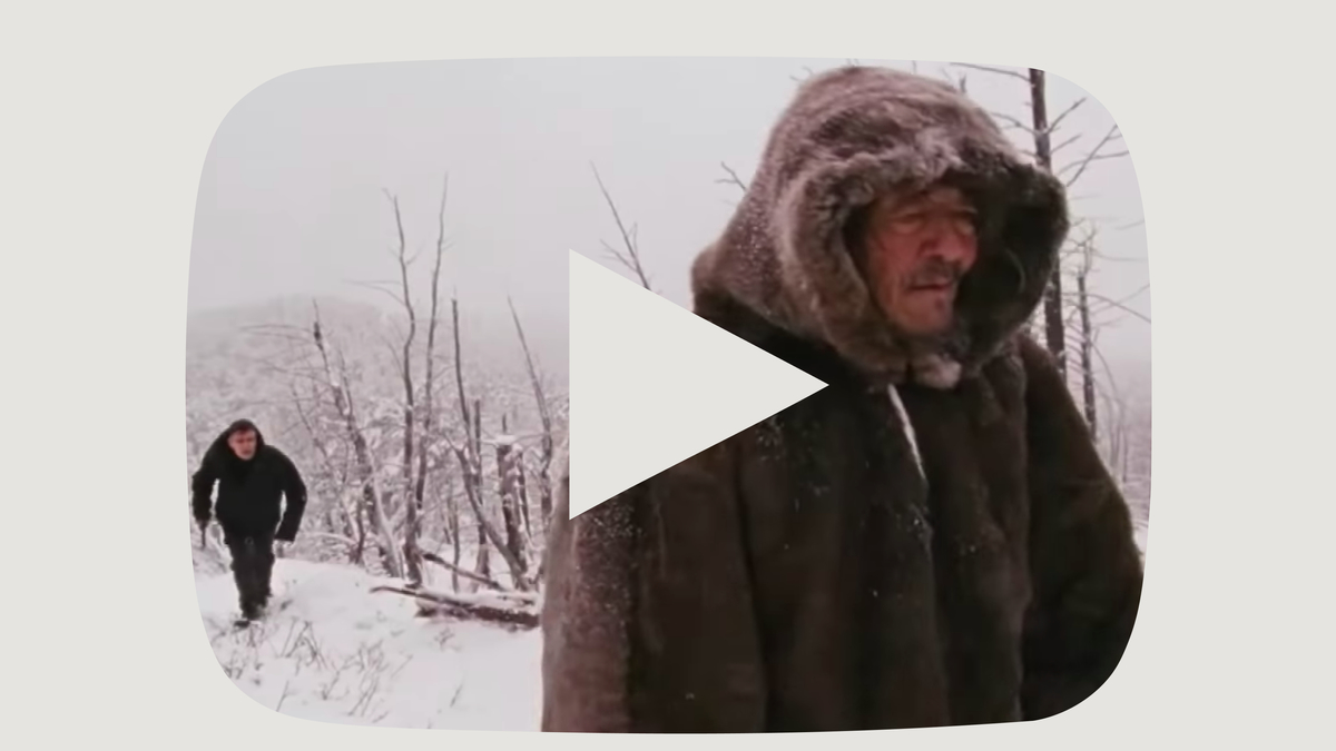 Фото: ТНТ / YouTube