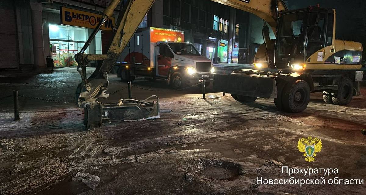Фото: Пресс-служба прокуратуры Новосибирской области