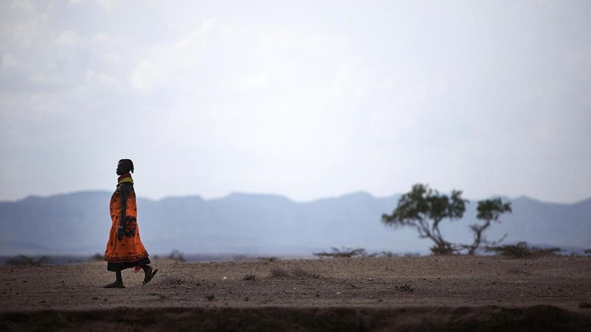 Фото: Christopher Furlong / Getty Images
