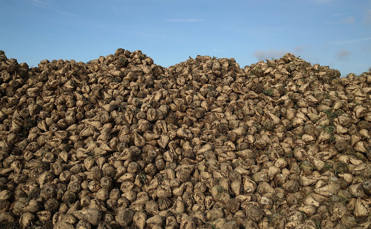 Sean Gallup / Getty Images