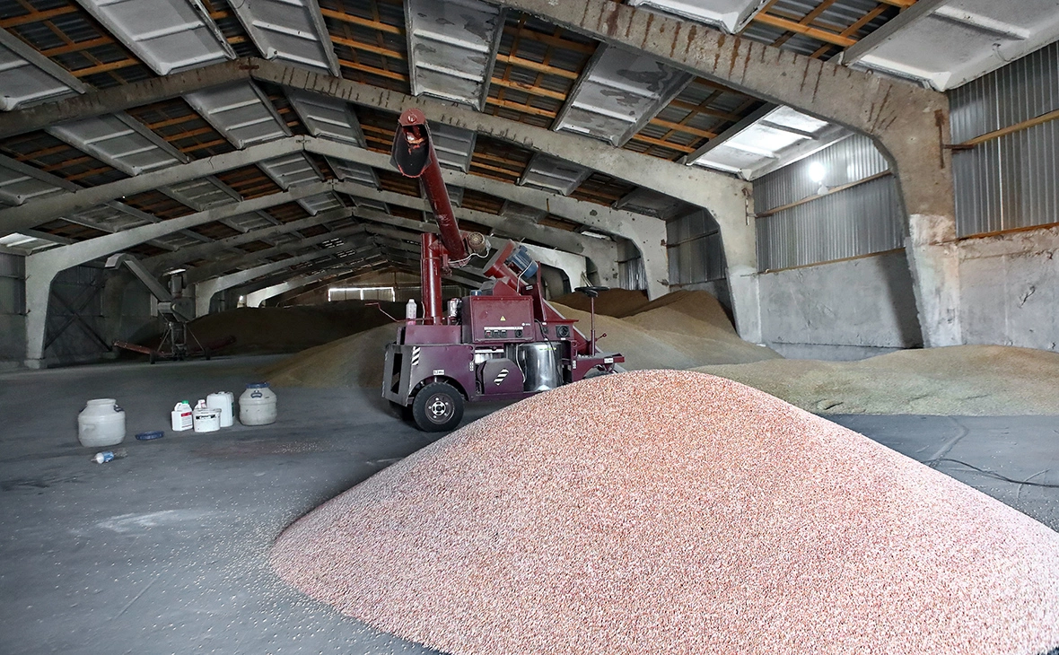 Владимир Тарасов / Keystone Press Agency / Global Look Press