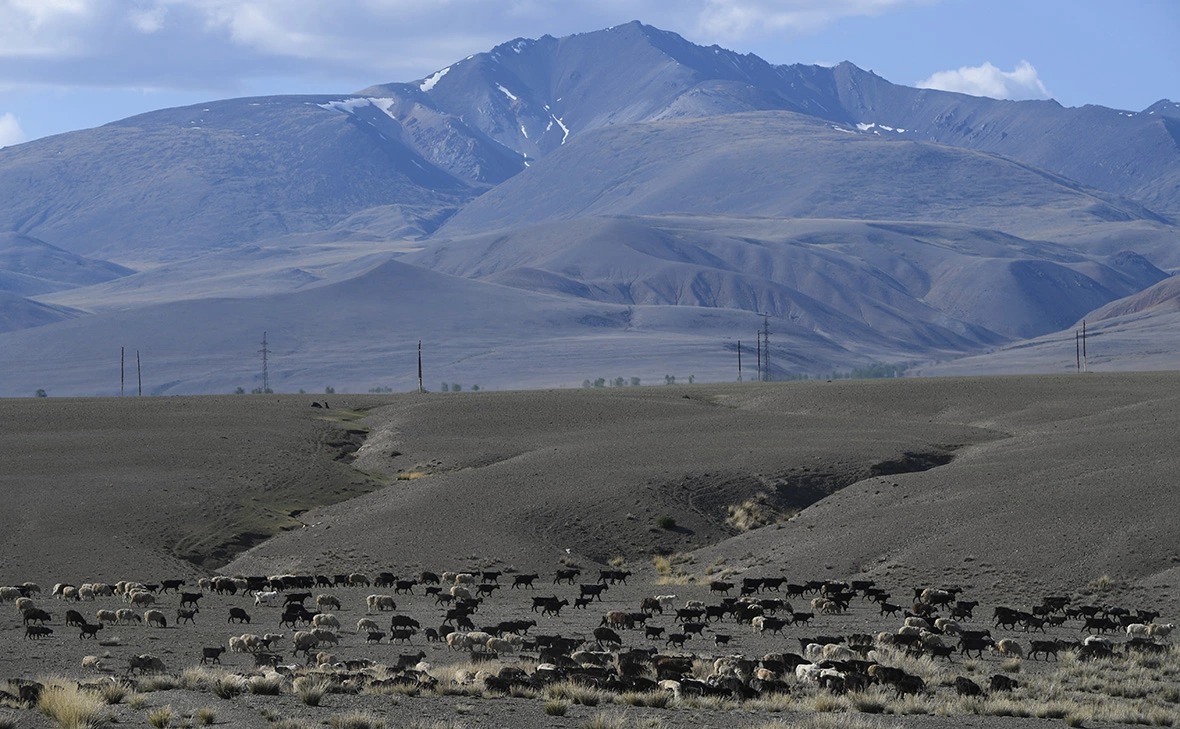 Александр Кряжев / РИА Новости