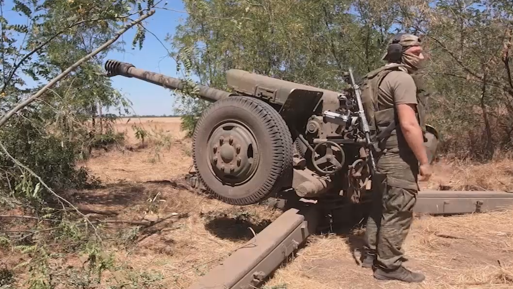 Российская артиллерия предотвратила высадку ВСУ в дельте Днепра. Видео