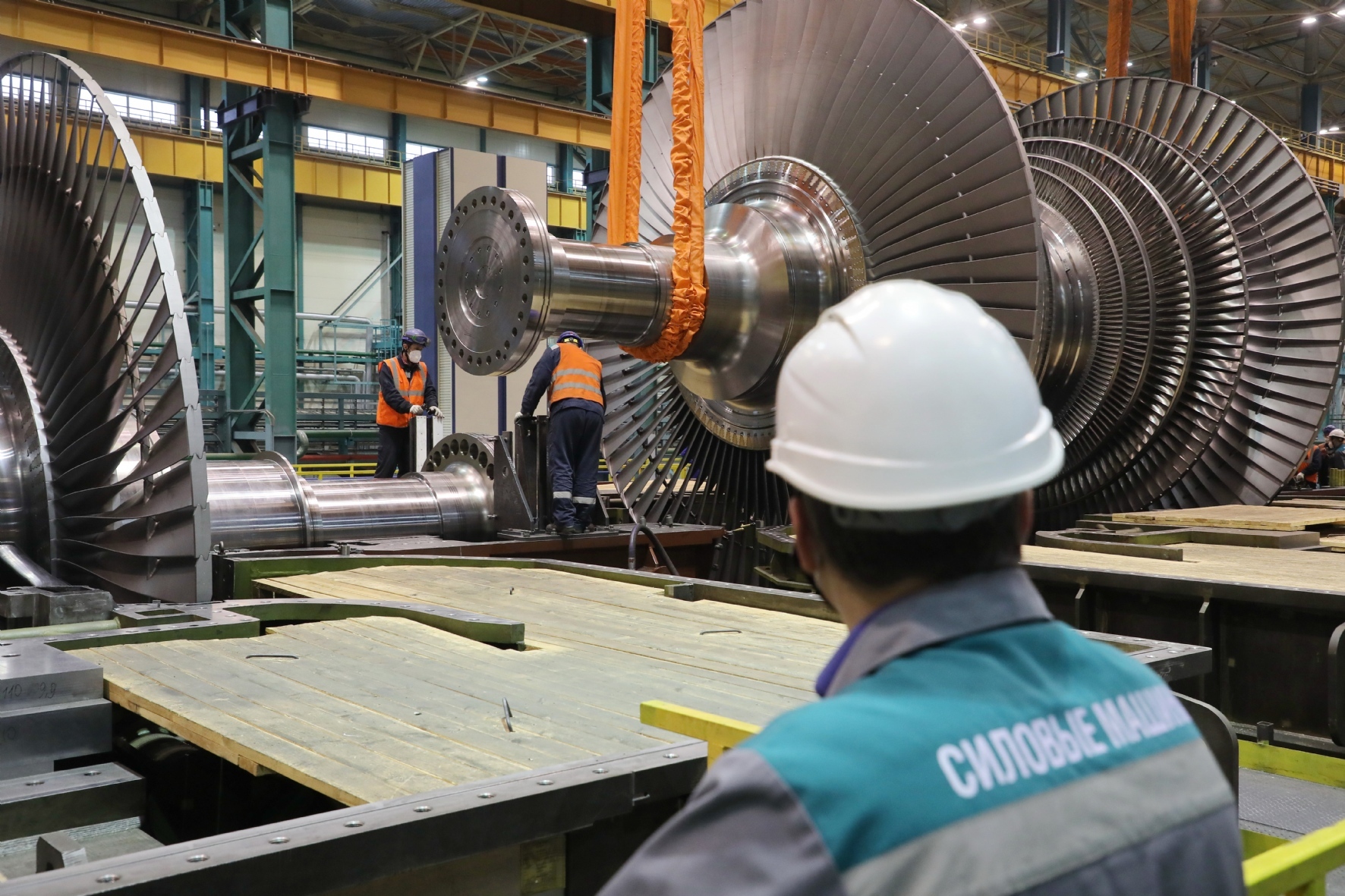 Фото: Холявчук Светлана/PhotoXPress.ru