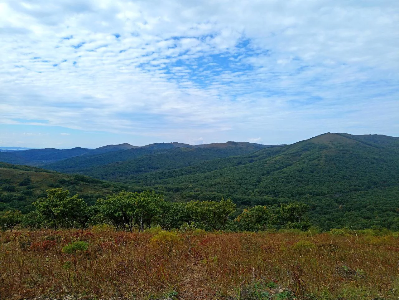 РБК Приморье