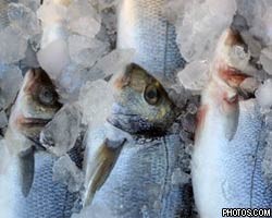 В Петербурге арестована партия некачественной рыбы из КНР