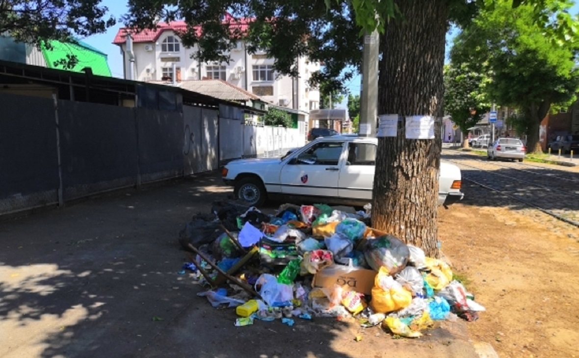 Фото: Администрация Краснодара