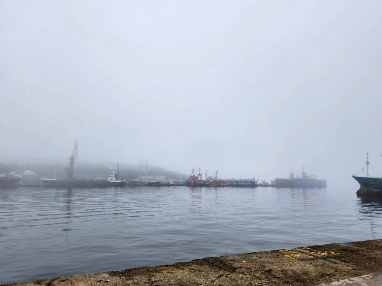 РБК Приморье