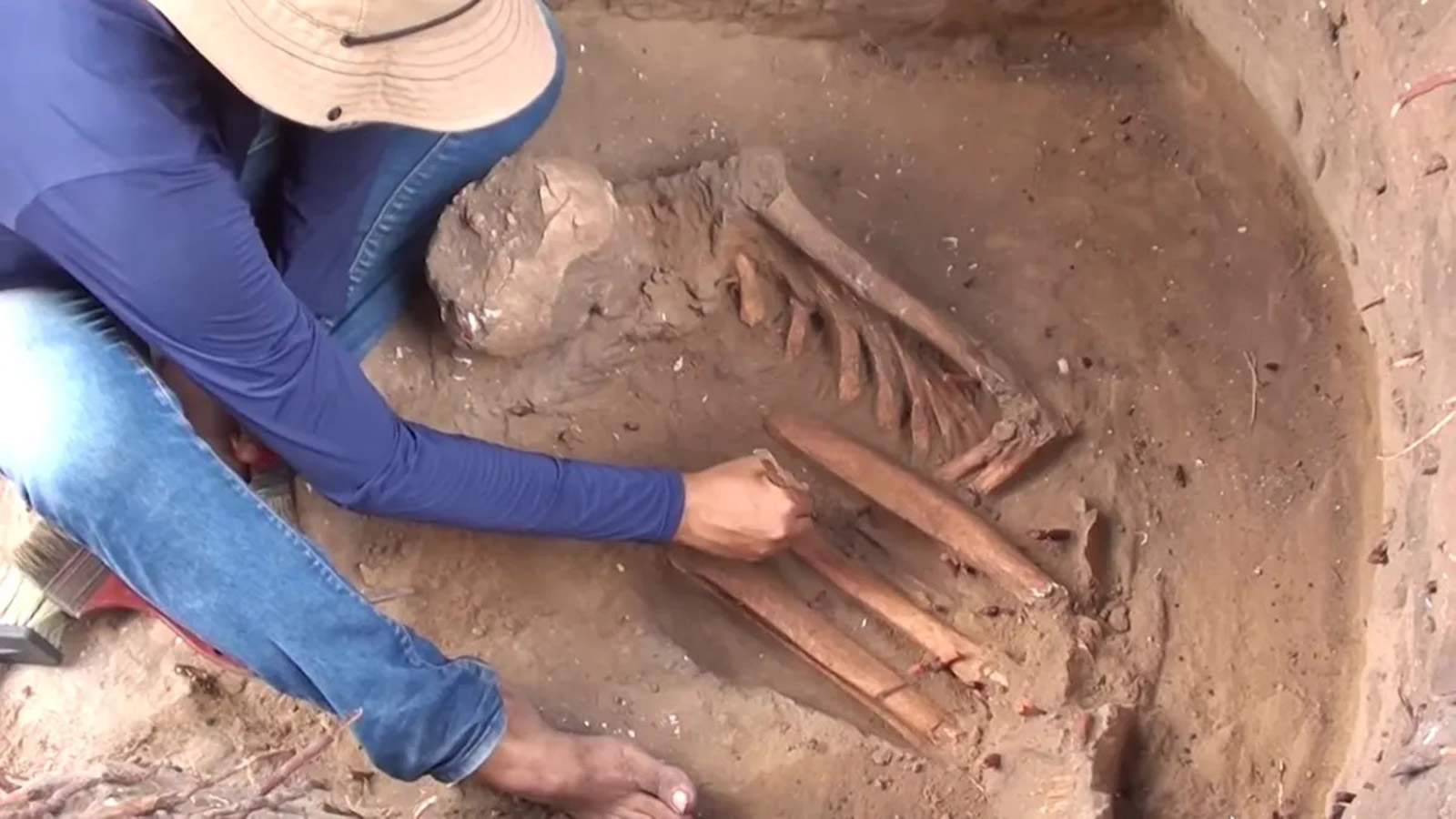 <p>Один из 43 скелетов, найденных в&nbsp;Сан-Луисе</p>