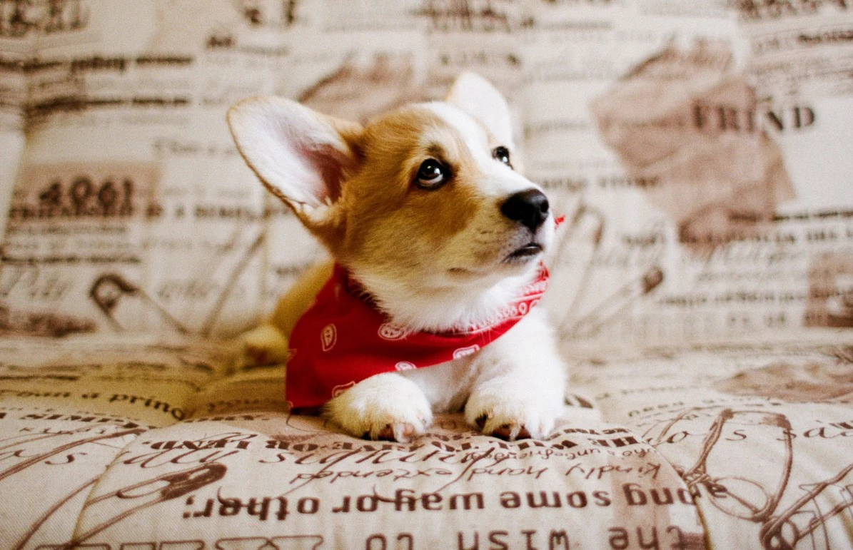 Виталий Страхов / РИА URA.RU