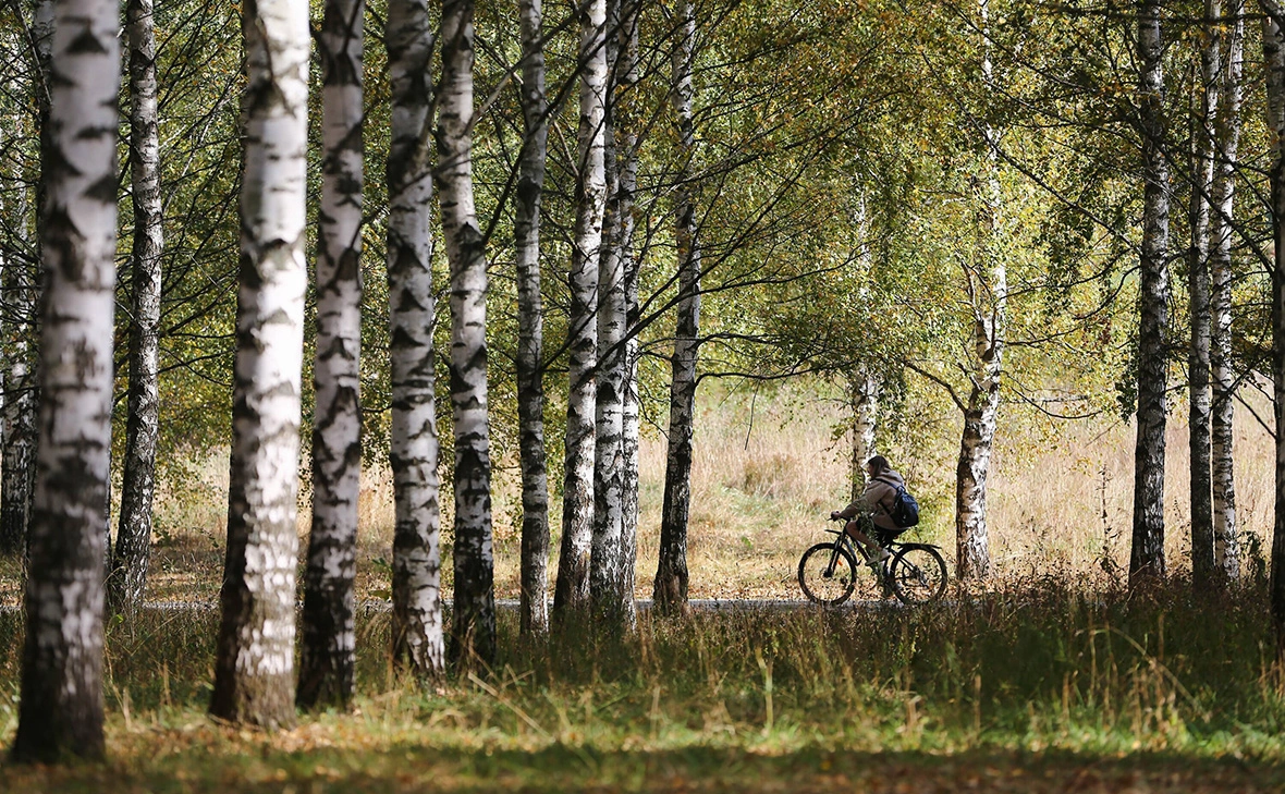 Сергей Ведяшкин / АГН «Москва»