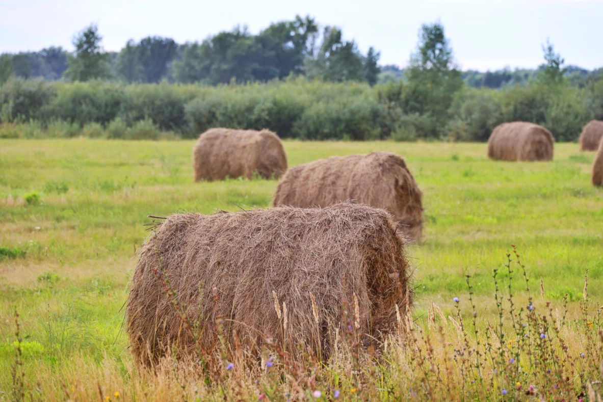 Екатерина Сычкова / URA.RU