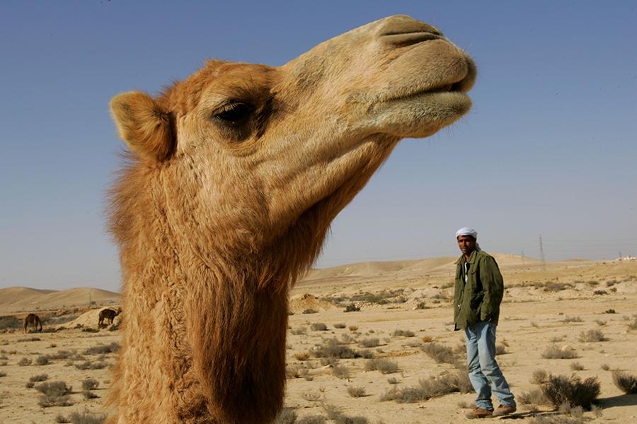 Фото: David Silverman / Getty Images